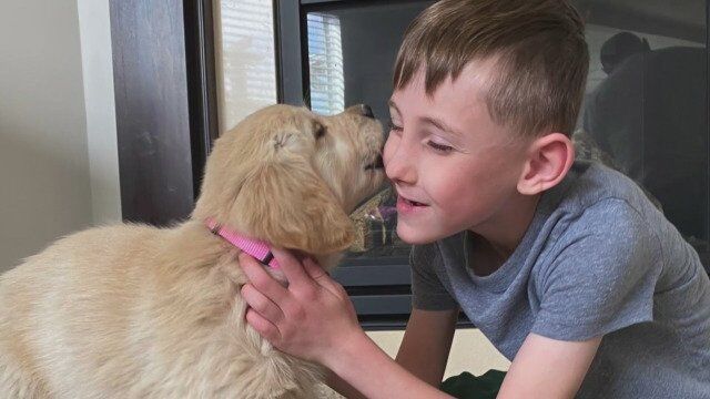 Boy and his dog